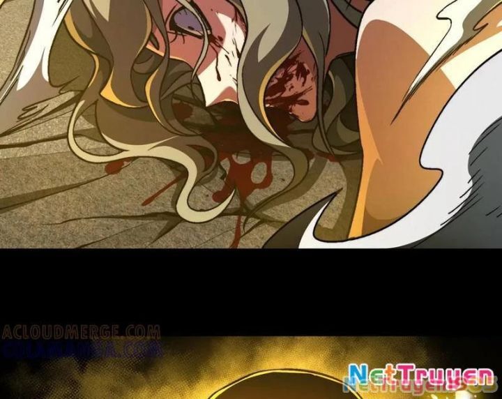 Ta Là Tai Họa Cấp Mục Sư Chapter 51 - Trang 2