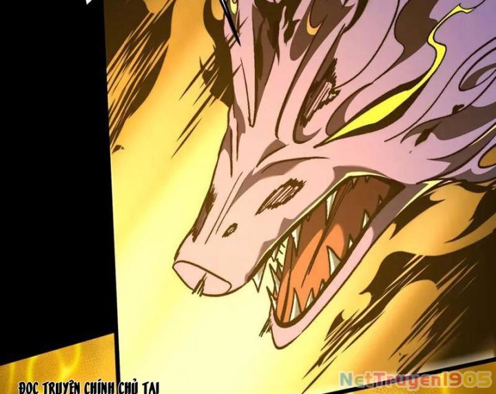 Ta Là Tai Họa Cấp Mục Sư Chapter 51 - Trang 2