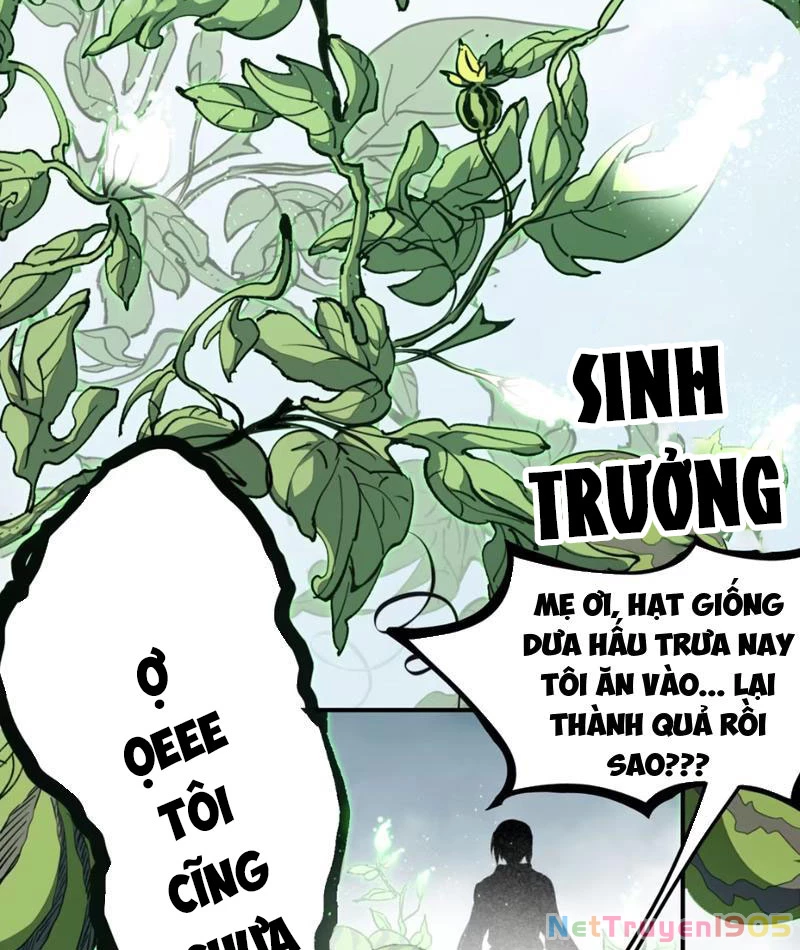 Tinh Linh Chi Hậu Chapter 2 - Trang 2