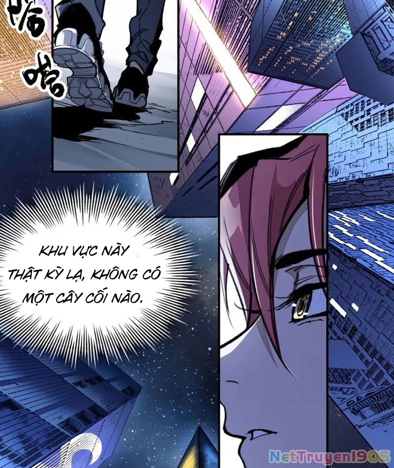 Tinh Linh Chi Hậu Chapter 2 - Trang 2