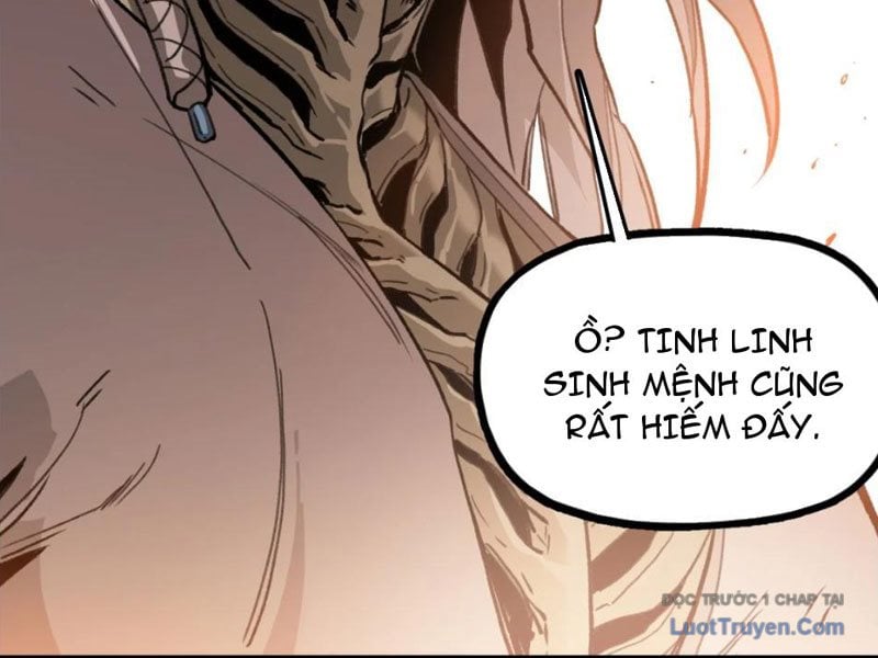 Tinh Linh Chi Hậu Chapter 16 - Trang 2