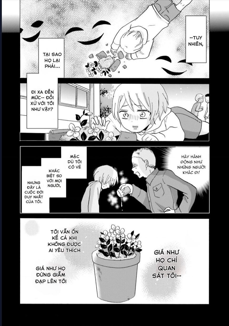 Yankee-Kun To Hakujou Gaaru Chapter 54 - Trang 2