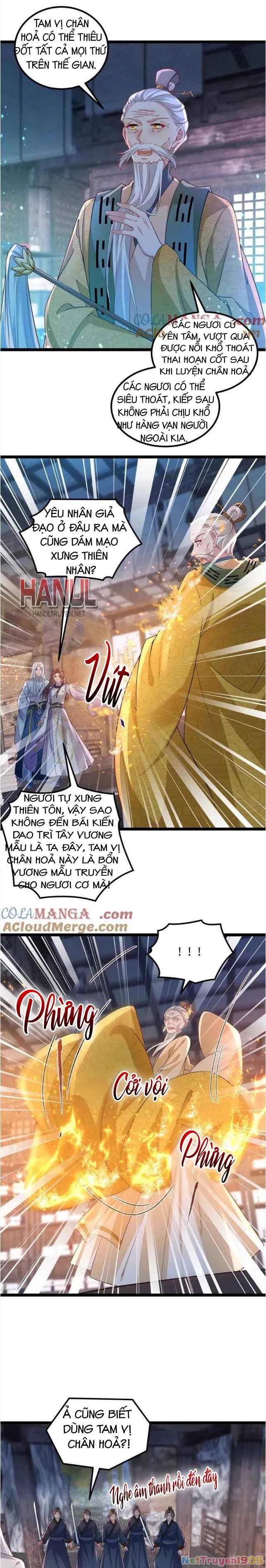 Hoạn Phi Thiên Hạ Chapter 411 - Trang 2