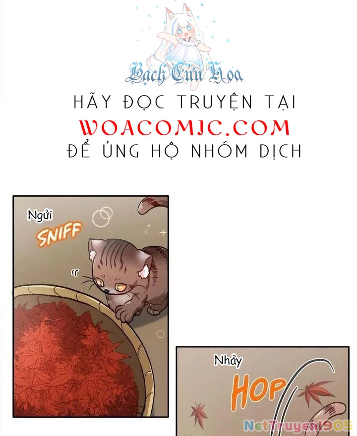 Tôi Chỉ Là Một Tiểu Thư Bình Thường Chapter 82 - Trang 2