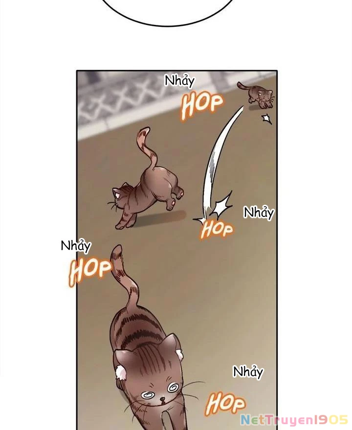 Tôi Chỉ Là Một Tiểu Thư Bình Thường Chapter 82 - Trang 2