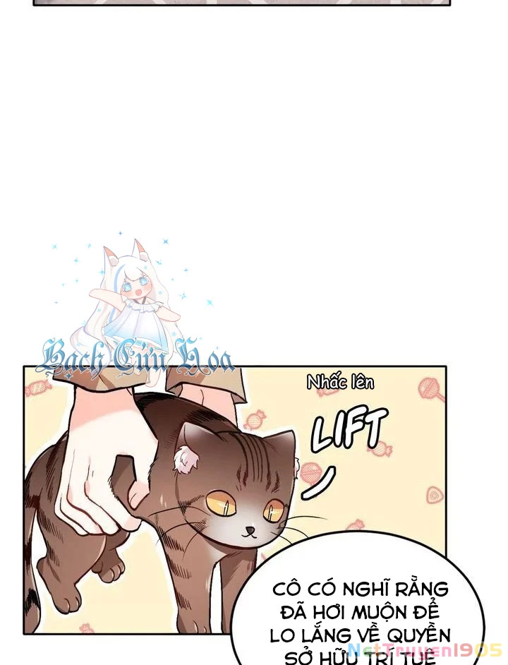 Tôi Chỉ Là Một Tiểu Thư Bình Thường Chapter 84 - Trang 2