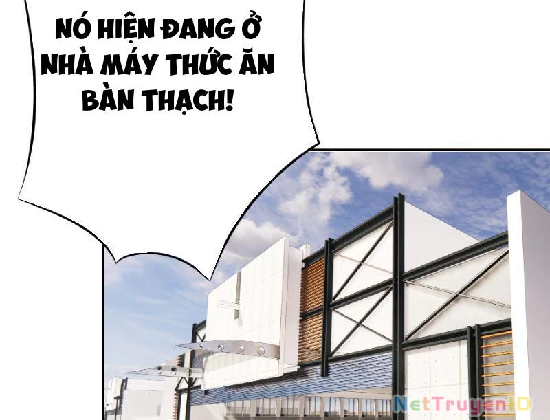 Ta Biến Thành Miêu Nương Chapter 1 - Trang 2