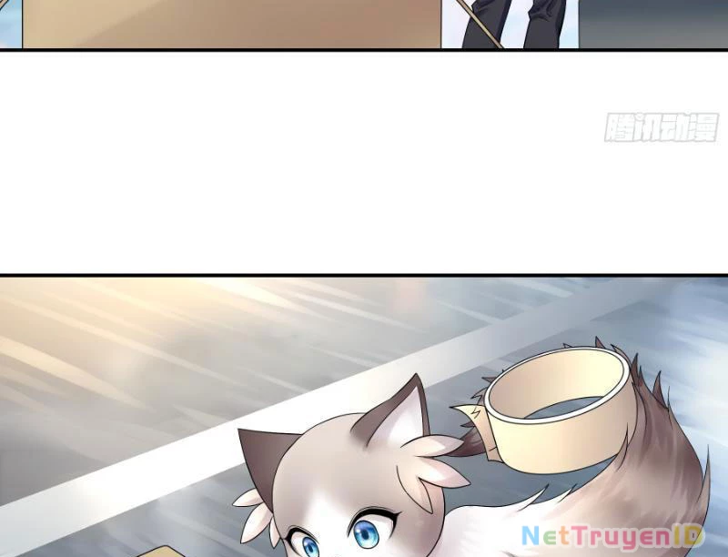 Ta Biến Thành Miêu Nương Chapter 1 - Trang 2