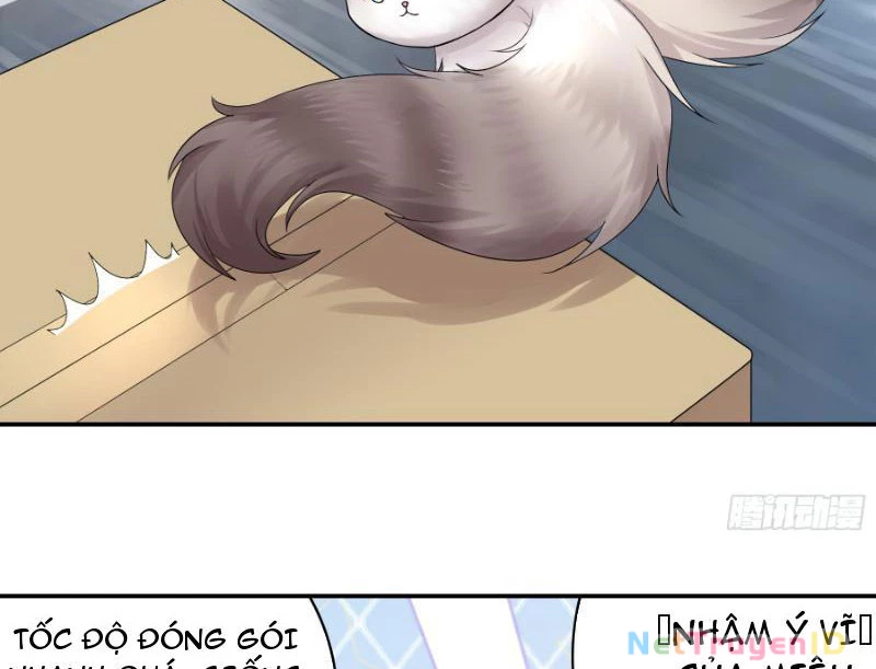 Ta Biến Thành Miêu Nương Chapter 1 - Trang 2