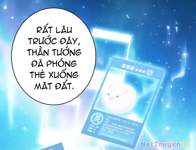 Ta Biến Thành Miêu Nương Chapter 1 - Trang 2