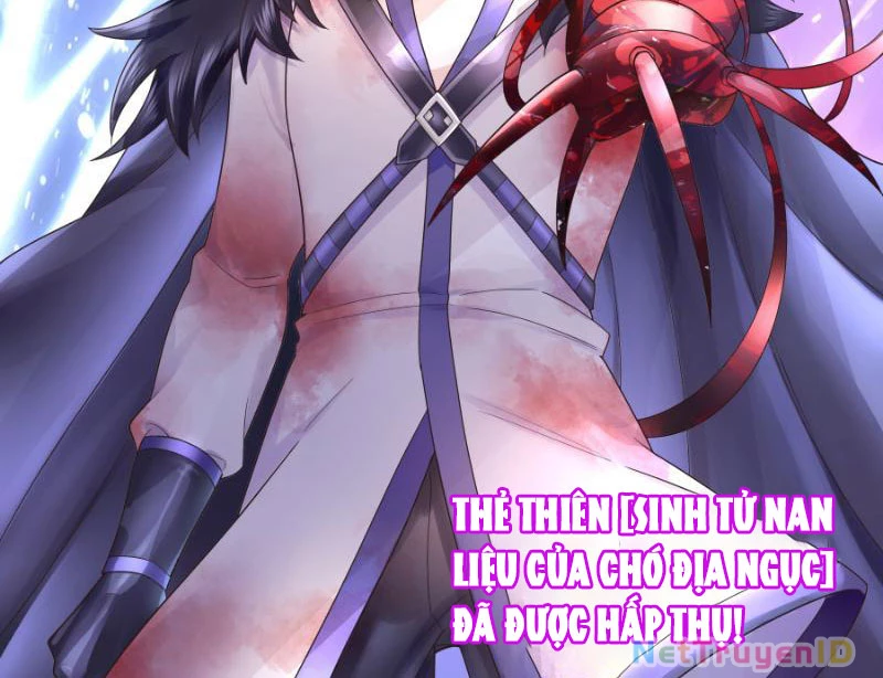 Ta Biến Thành Miêu Nương Chapter 2 - Trang 2