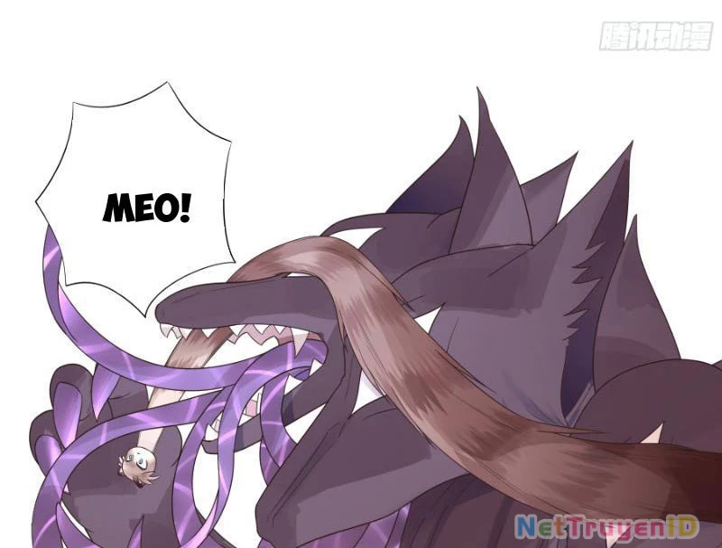 Ta Biến Thành Miêu Nương Chapter 2 - Trang 2