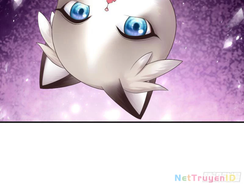 Ta Biến Thành Miêu Nương Chapter 2 - Trang 2