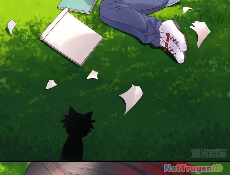 Ta Biến Thành Miêu Nương Chapter 2 - Trang 2