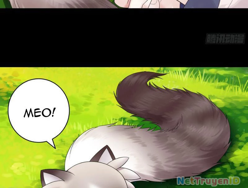 Ta Biến Thành Miêu Nương Chapter 2 - Trang 2
