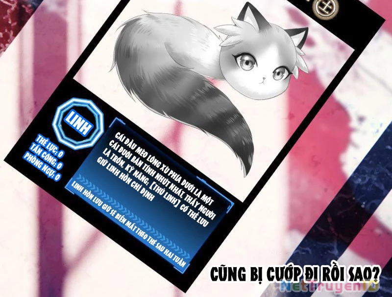 Ta Biến Thành Miêu Nương Chapter 2 - Trang 2