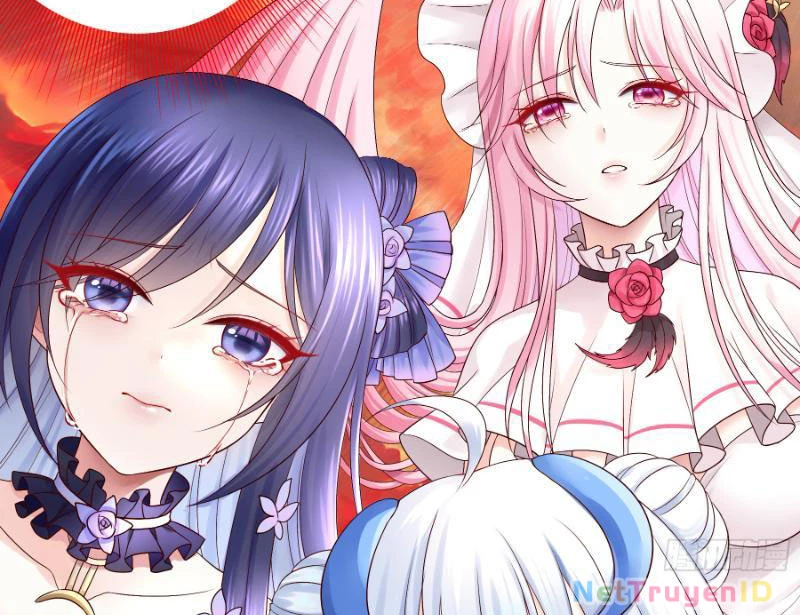 Ta Biến Thành Miêu Nương Chapter 2 - Trang 2