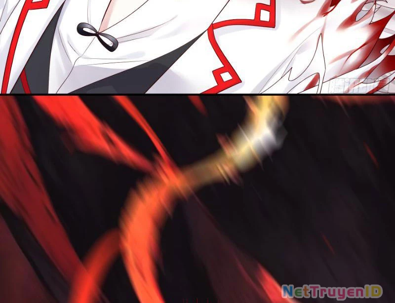 Ta Biến Thành Miêu Nương Chapter 2 - Trang 2