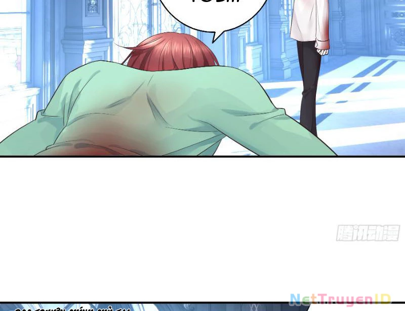 Ta Biến Thành Miêu Nương Chapter 3 - Trang 2