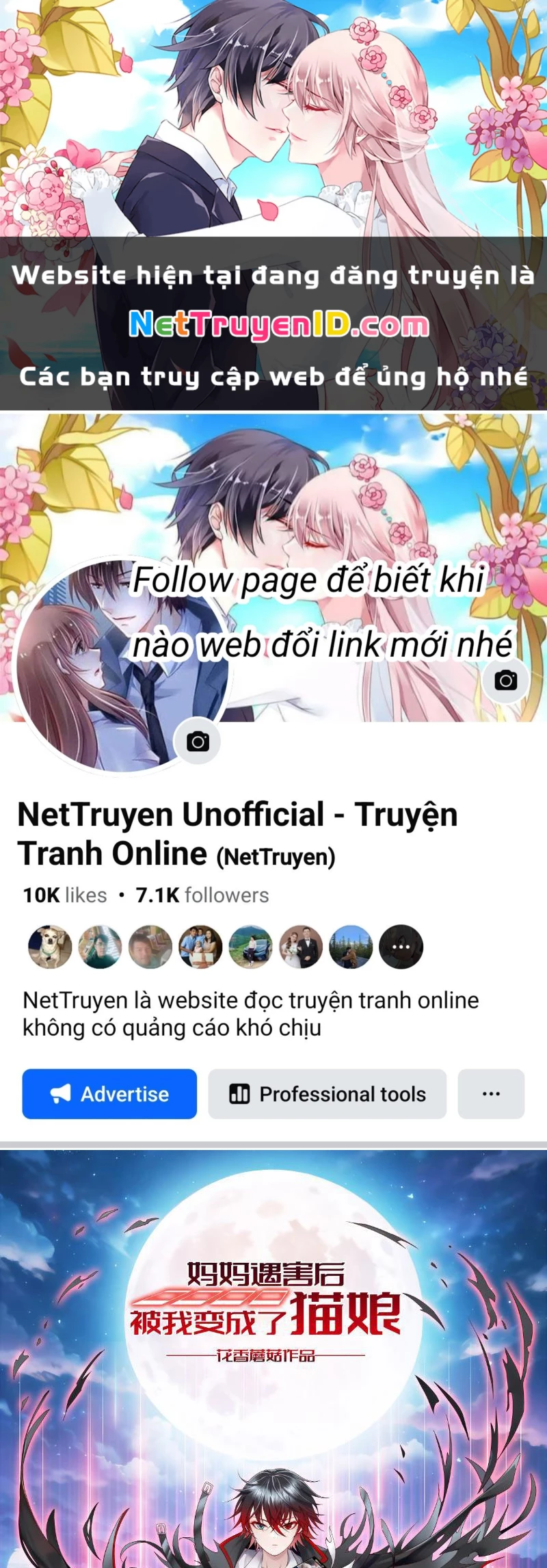 Ta Biến Thành Miêu Nương Chapter 3 - Trang 2