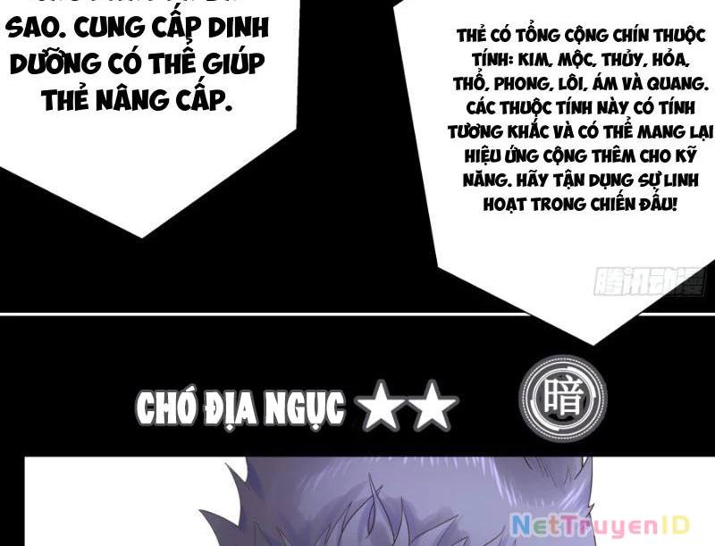 Ta Biến Thành Miêu Nương Chapter 3 - Trang 2