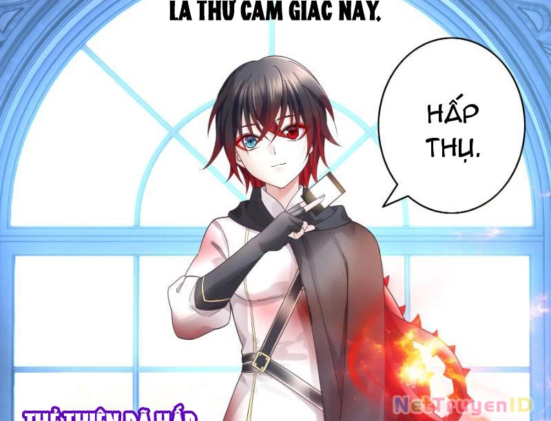 Ta Biến Thành Miêu Nương Chapter 3 - Trang 2