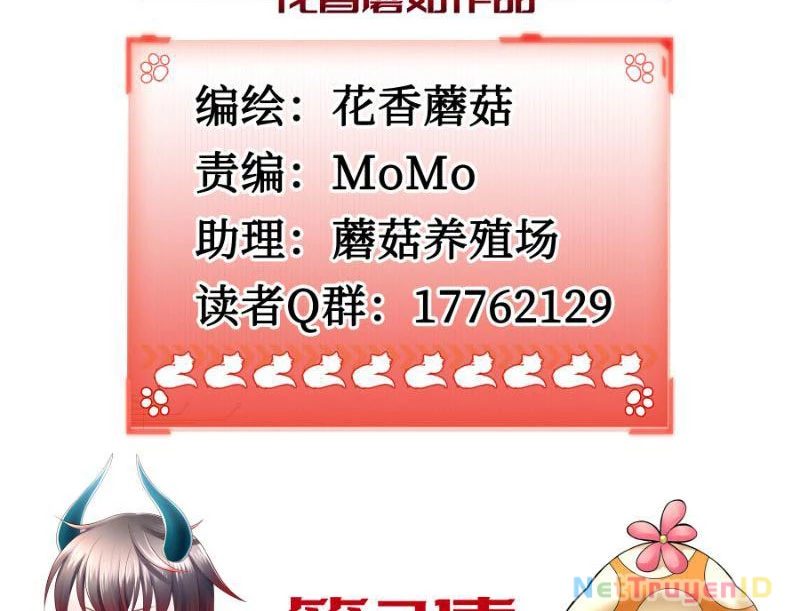 Ta Biến Thành Miêu Nương Chapter 3 - Trang 2