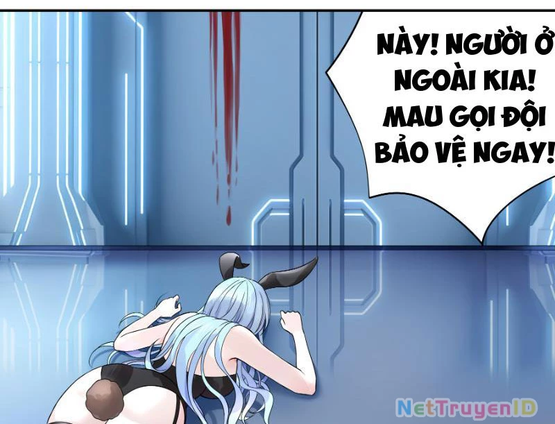 Ta Biến Thành Miêu Nương Chapter 3 - Trang 2