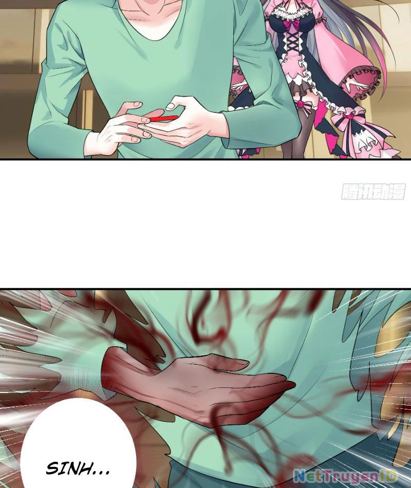 Ta Biến Thành Miêu Nương Chapter 4 - Trang 2