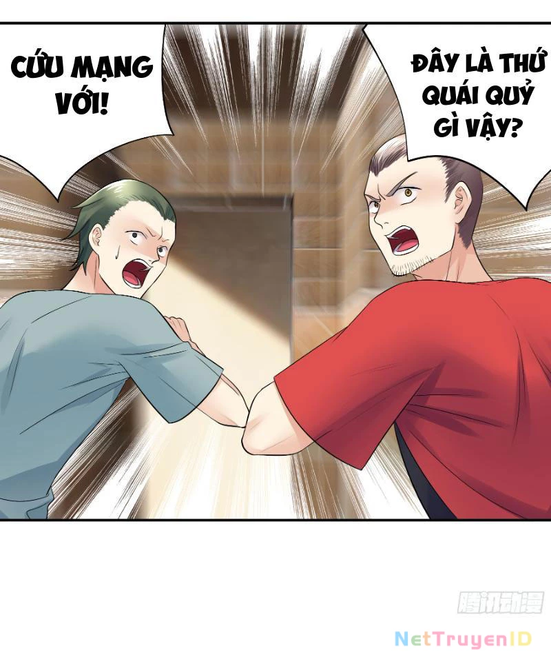 Ta Biến Thành Miêu Nương Chapter 4 - Trang 2