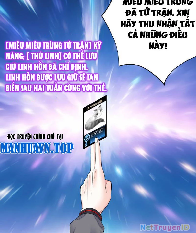 Ta Biến Thành Miêu Nương Chapter 4 - Trang 2