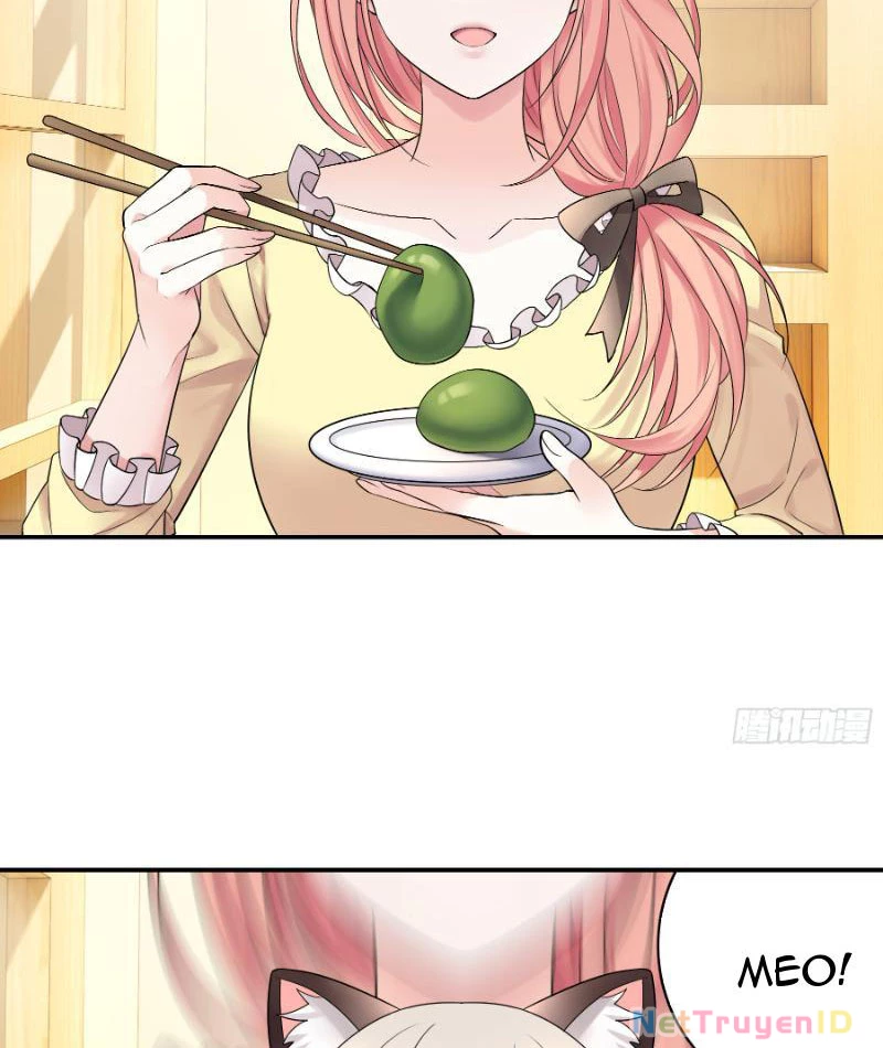 Ta Biến Thành Miêu Nương Chapter 4 - Trang 2