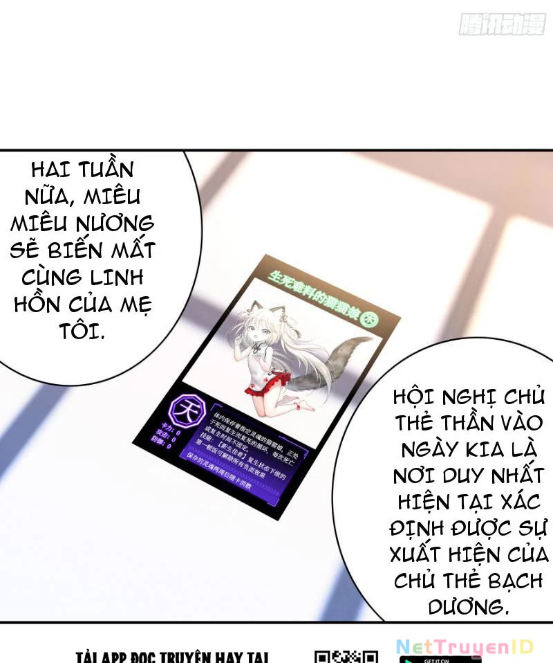 Ta Biến Thành Miêu Nương Chapter 5 - Trang 2