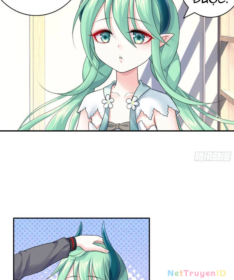 Ta Biến Thành Miêu Nương Chapter 5 - Trang 2