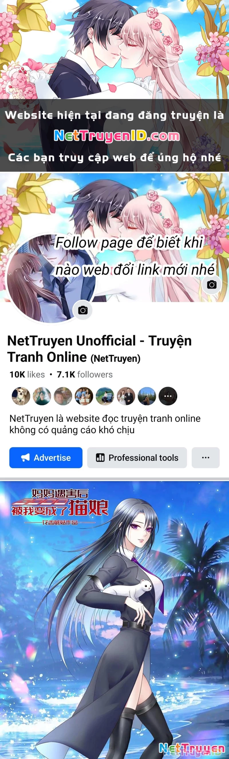 Ta Biến Thành Miêu Nương Chapter 6 - Trang 2