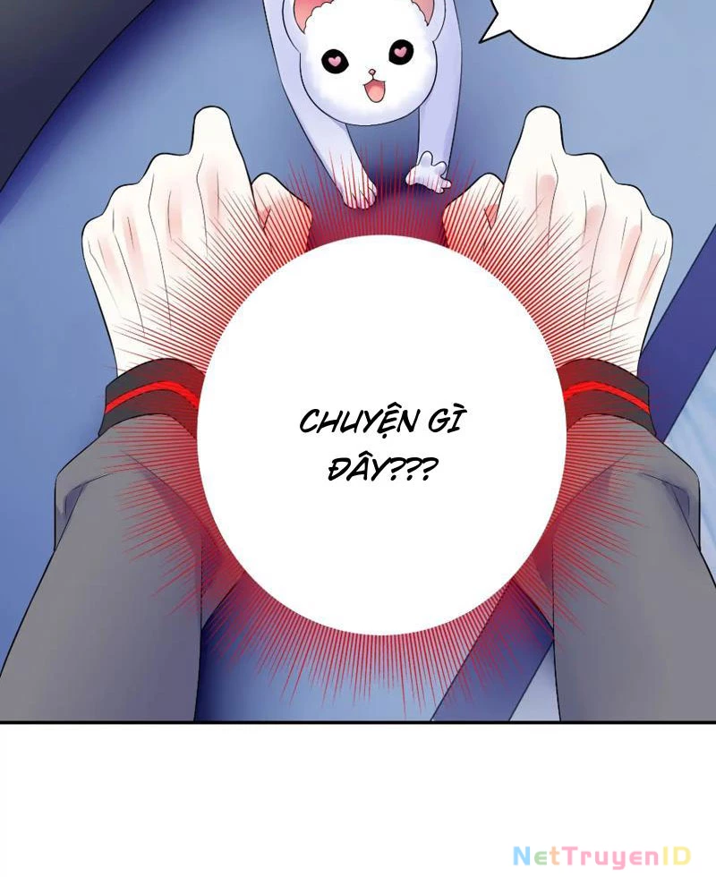 Ta Biến Thành Miêu Nương Chapter 6 - Trang 2