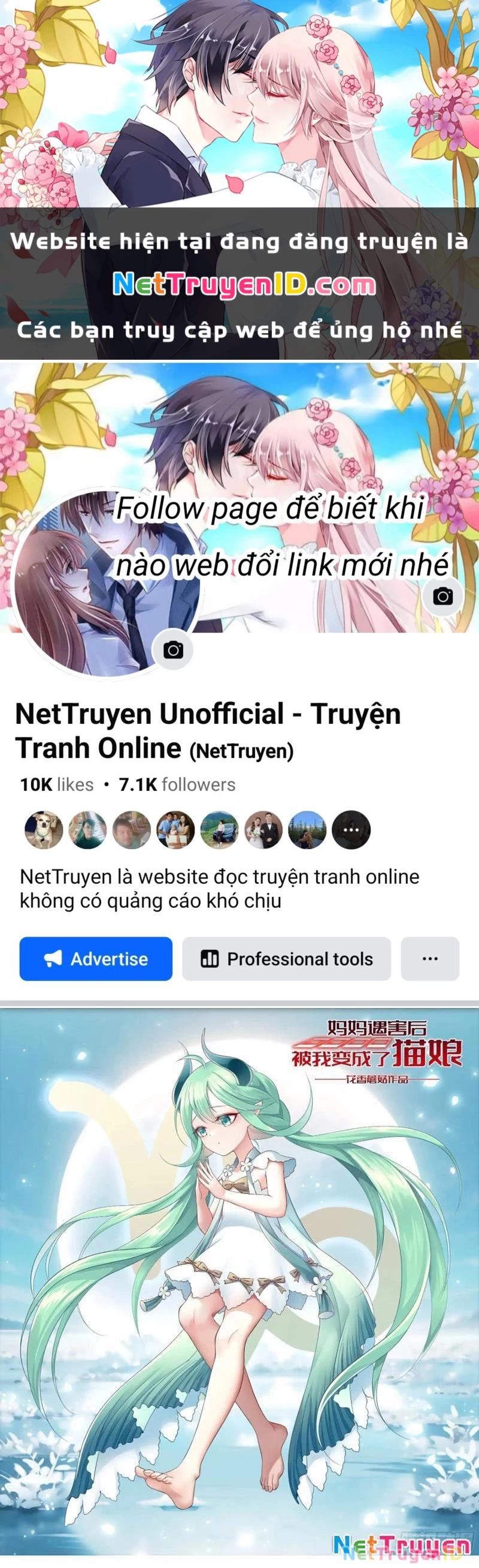 Ta Biến Thành Miêu Nương Chapter 7 - Trang 2