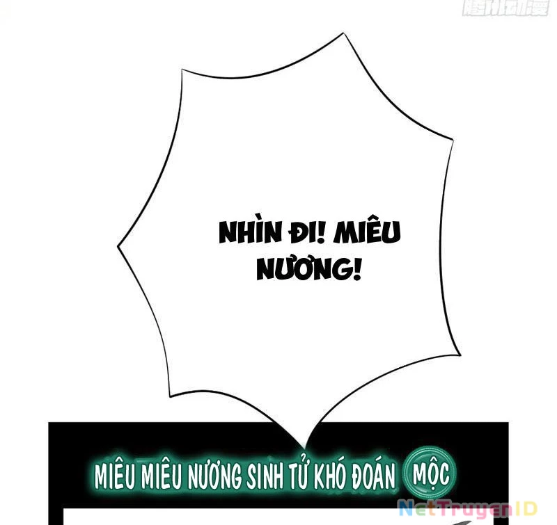 Ta Biến Thành Miêu Nương Chapter 9 - Trang 2