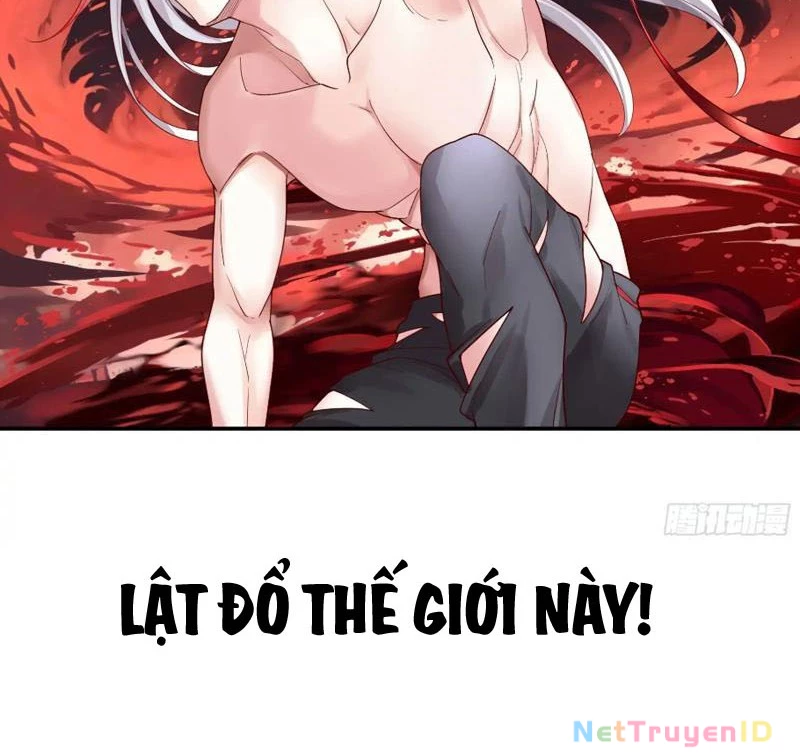 Ta Biến Thành Miêu Nương Chapter 9 - Trang 2