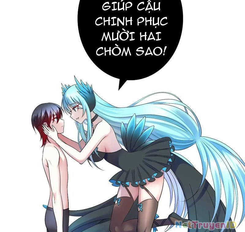 Ta Biến Thành Miêu Nương Chapter 9 - Trang 2