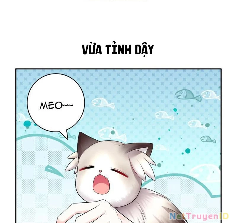 Ta Biến Thành Miêu Nương Chapter 9 - Trang 2