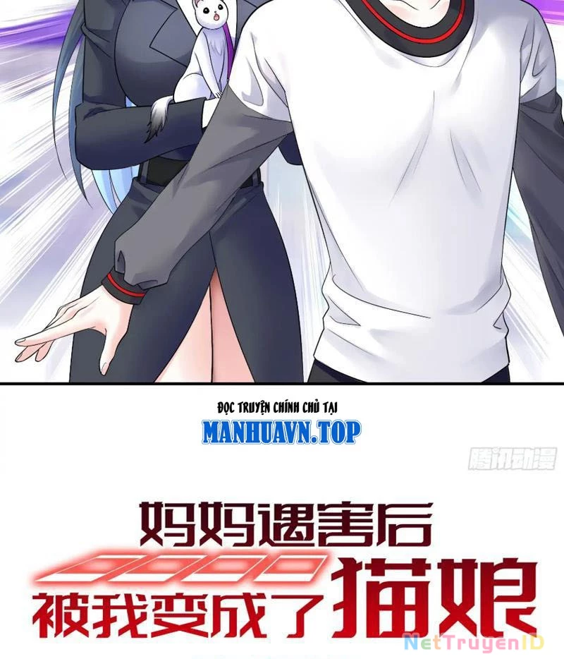 Ta Biến Thành Miêu Nương Chapter 10 - Trang 2