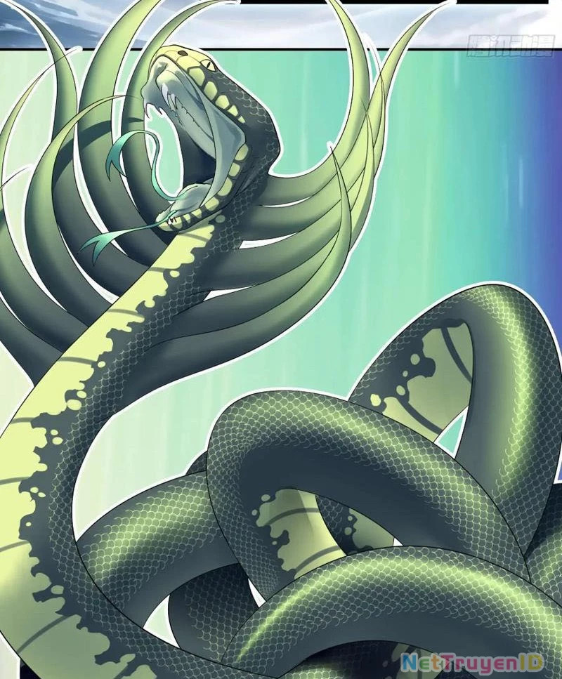 Ta Biến Thành Miêu Nương Chapter 10 - Trang 2