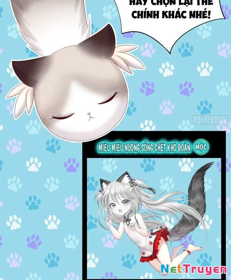 Ta Biến Thành Miêu Nương Chapter 10 - Trang 2
