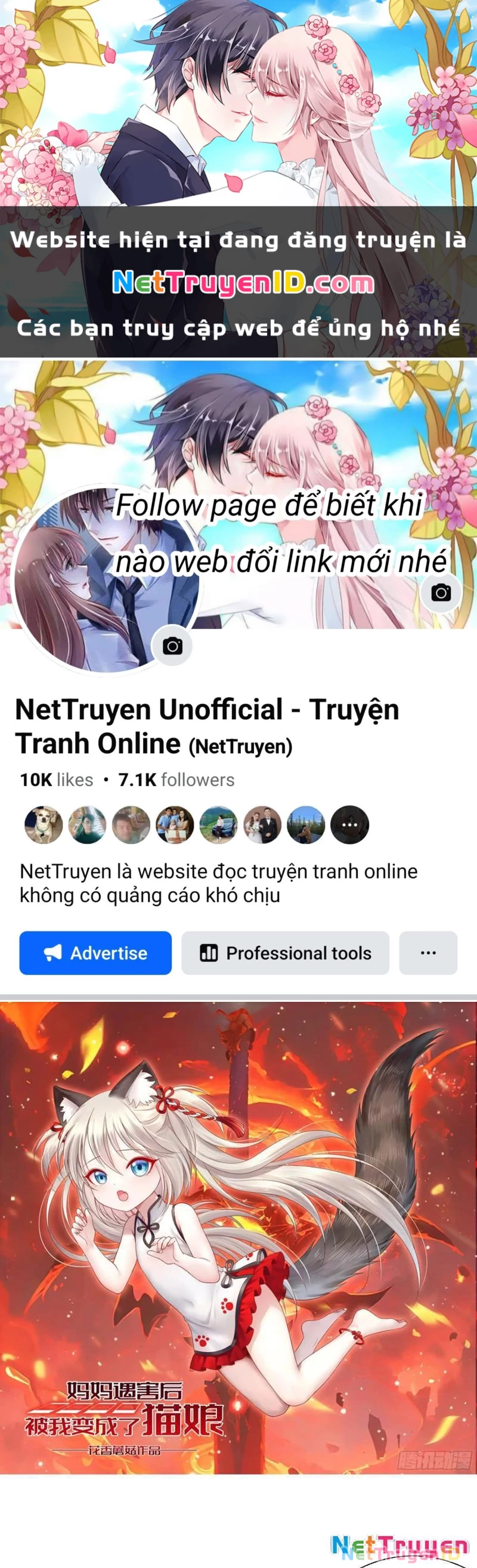 Ta Biến Thành Miêu Nương Chapter 11 - Trang 2