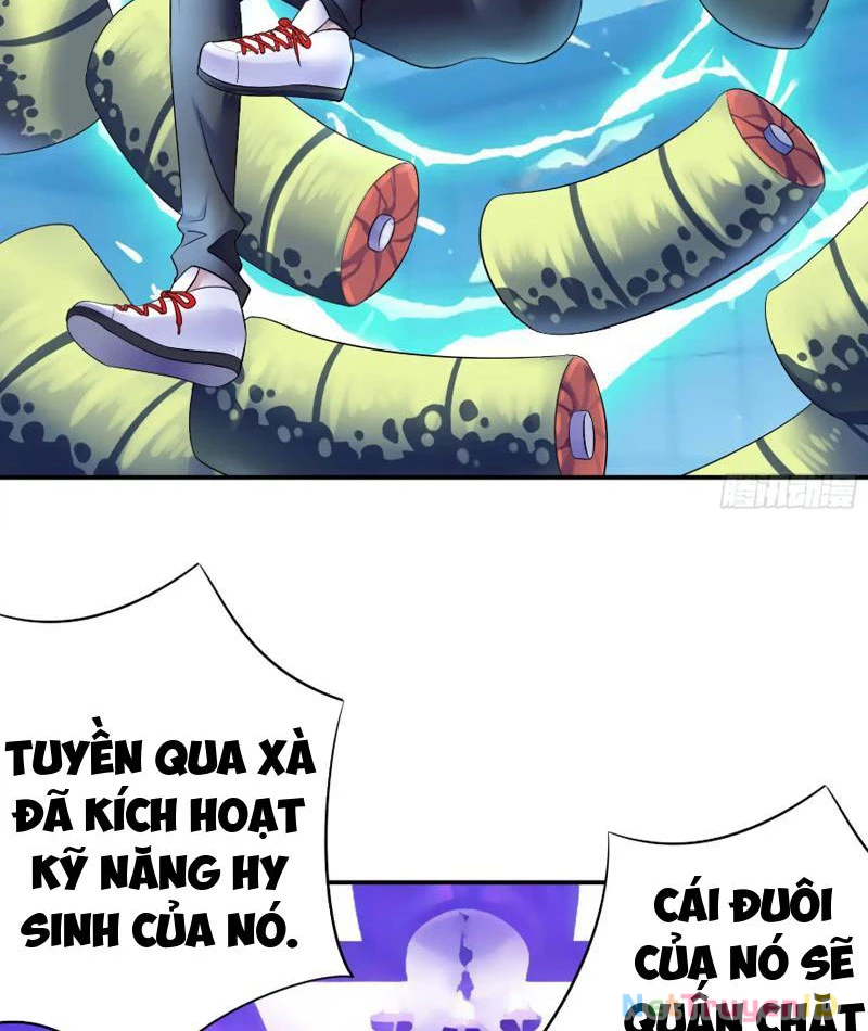 Ta Biến Thành Miêu Nương Chapter 11 - Trang 2