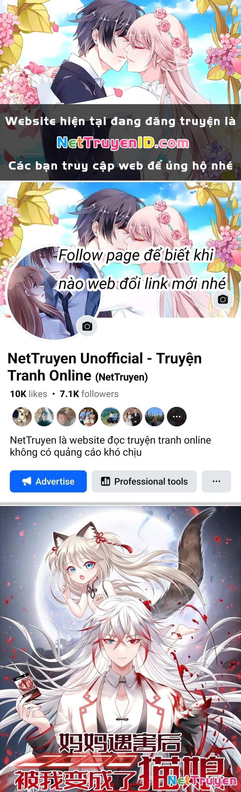 Ta Biến Thành Miêu Nương Chapter 12 - Trang 2