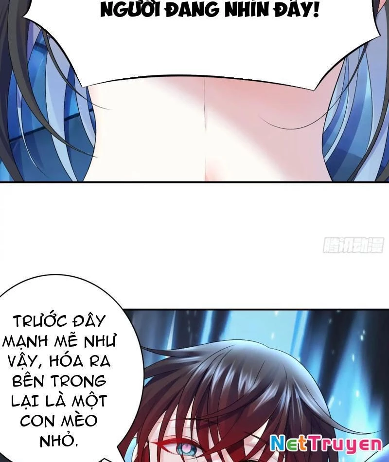 Ta Biến Thành Miêu Nương Chapter 12 - Trang 2