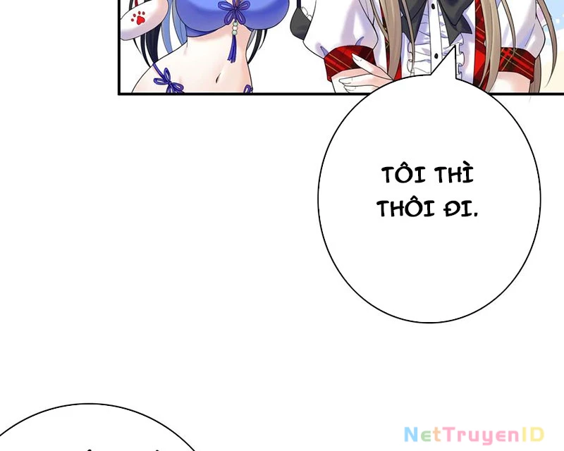 Ta Biến Thành Miêu Nương Chapter 16 - Trang 2