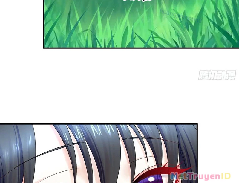 Ta Biến Thành Miêu Nương Chapter 16 - Trang 2